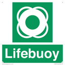 lifebuoy-with-symbol~